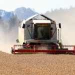Securing Your Global Supply Chain with Indian Harvests