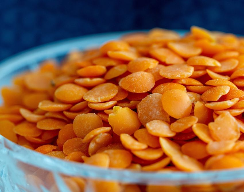 martin_hetto-lentil-5148329