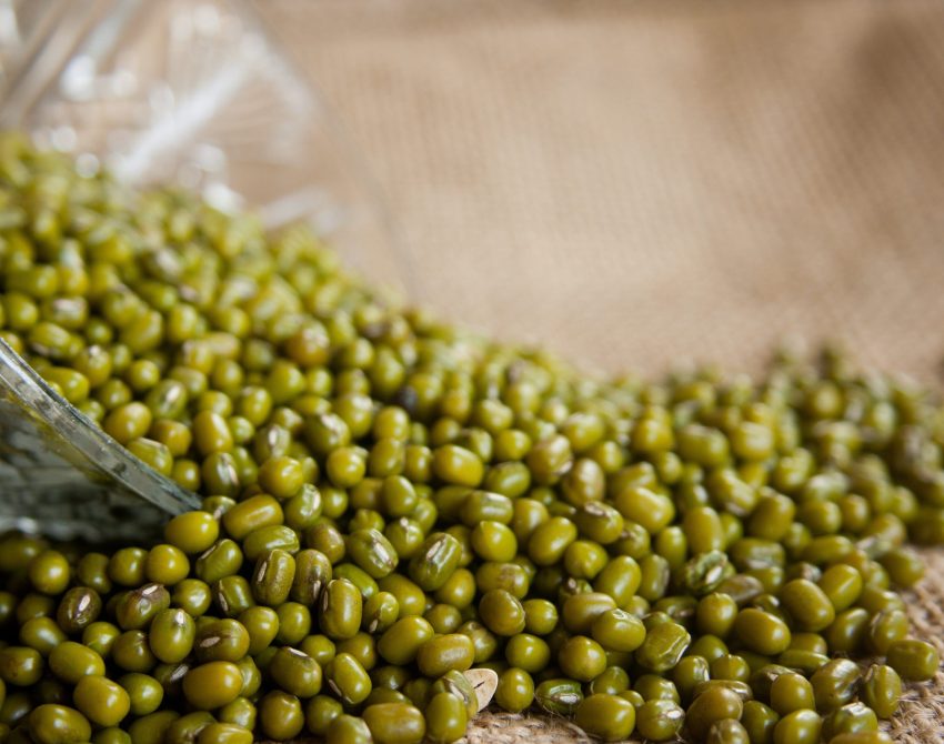 pdpics-mung-beans-166996 - Copy