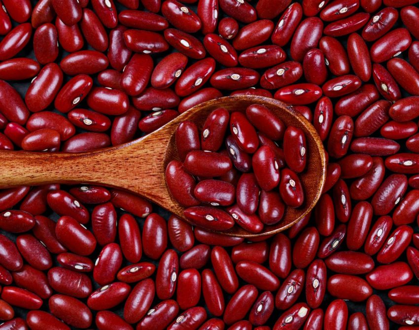 pexels-victoria-bowers-148548814-17052144