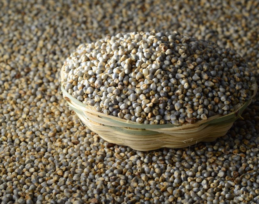 Bajra (Pearl millet) in wooden (bamboo) basket